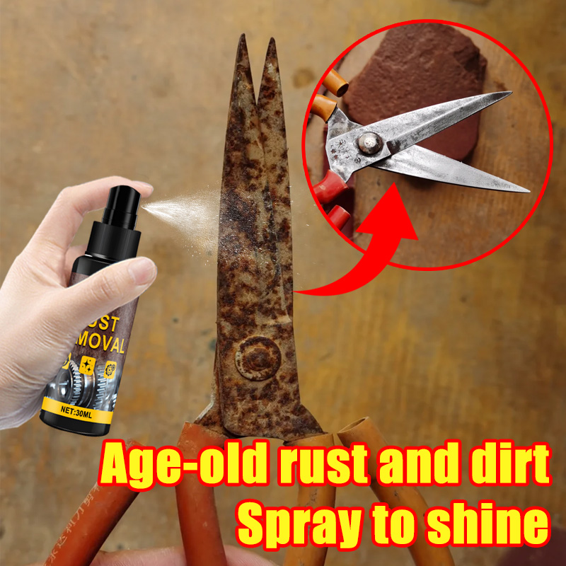 Semprotan Penghilang Karat Pem - Furniture Hardware Cleaner ulasan dan harga