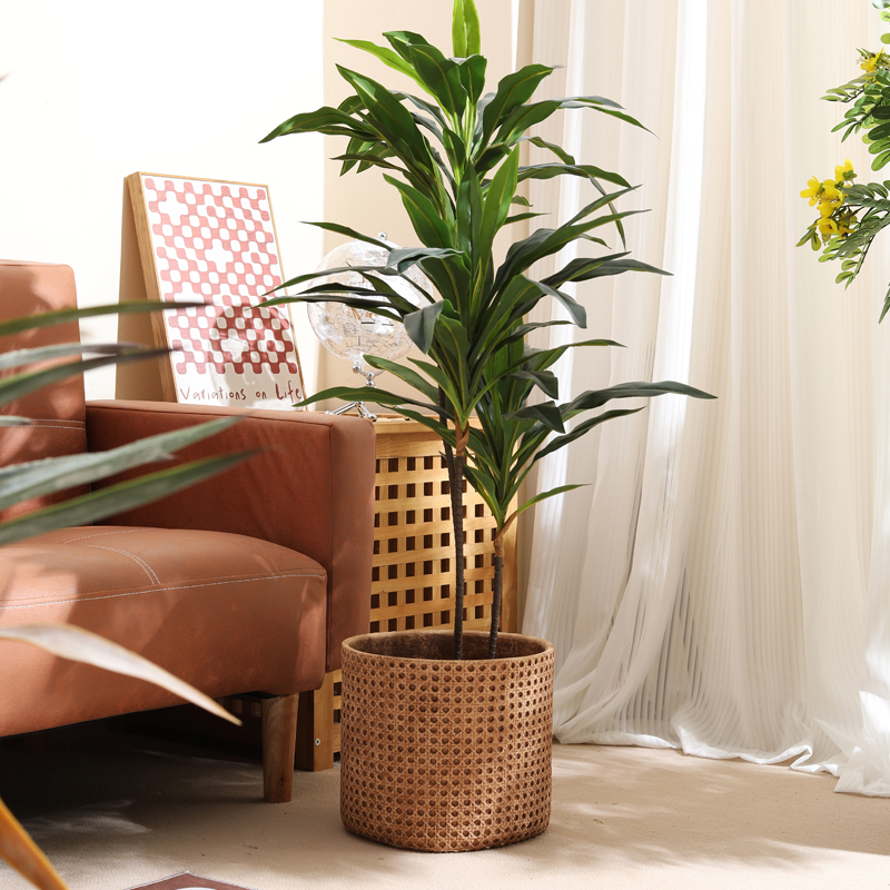 Furnitur untuk apartemen beruk - Furniture Paradise & Hardware Ghaziabad Photos ulasan dan harga